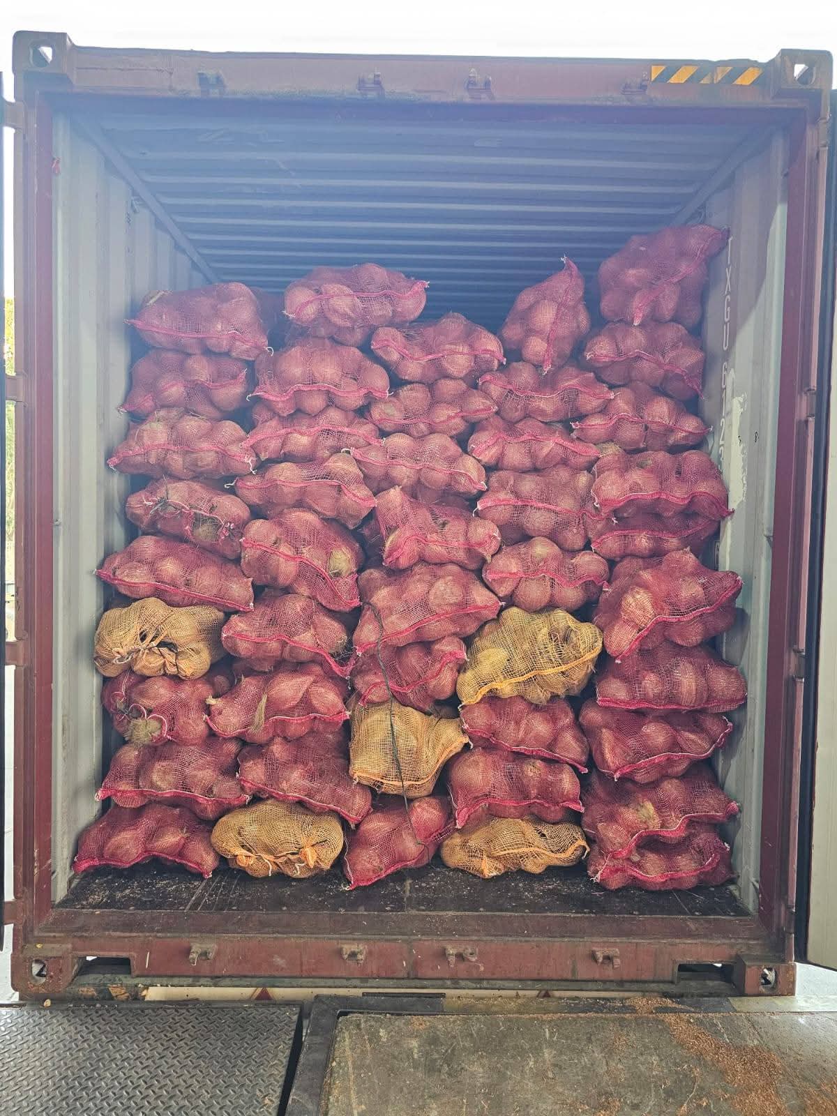 Coconut stock prepared for export