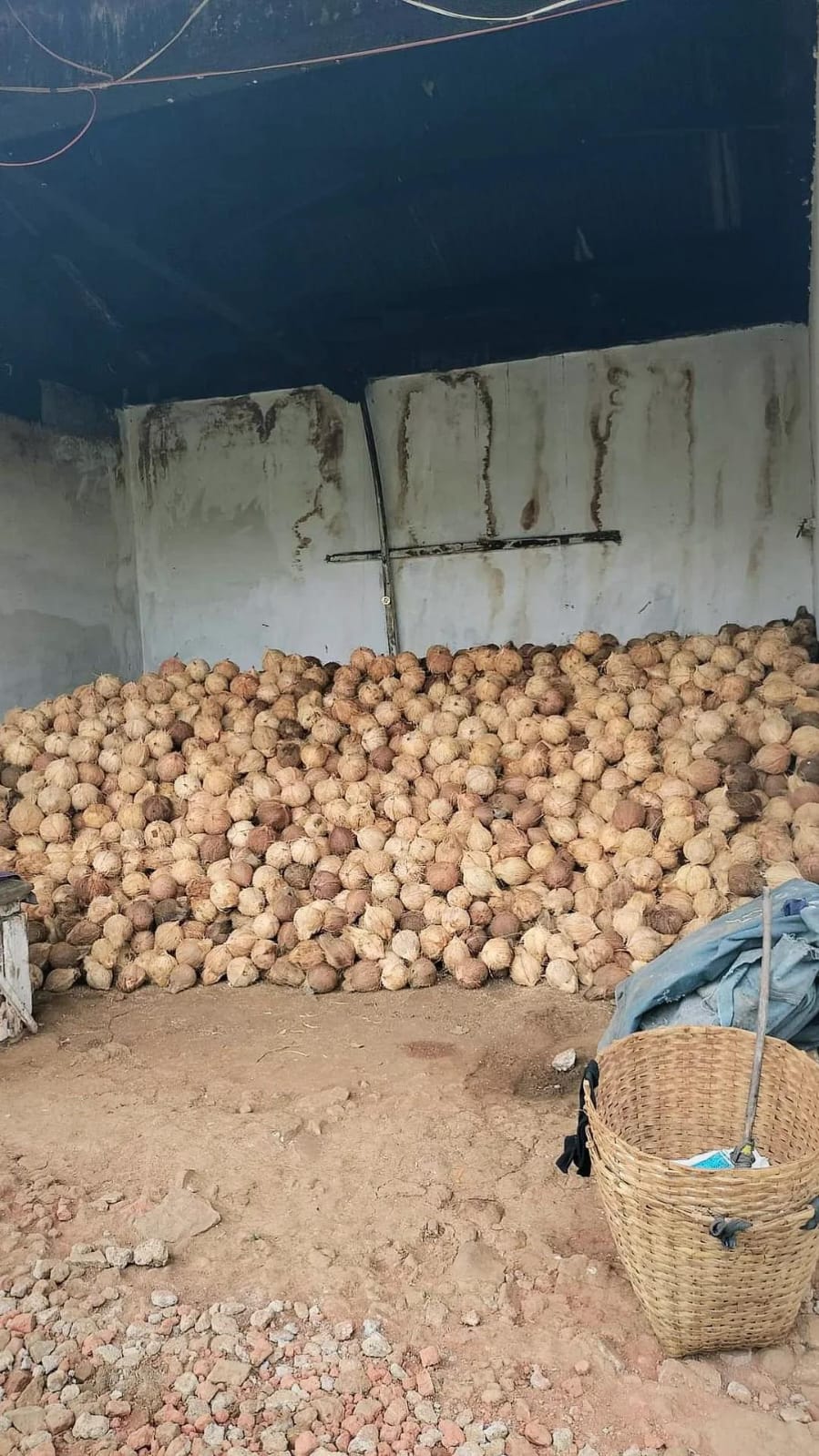 Coconut inventory at partner warehouses