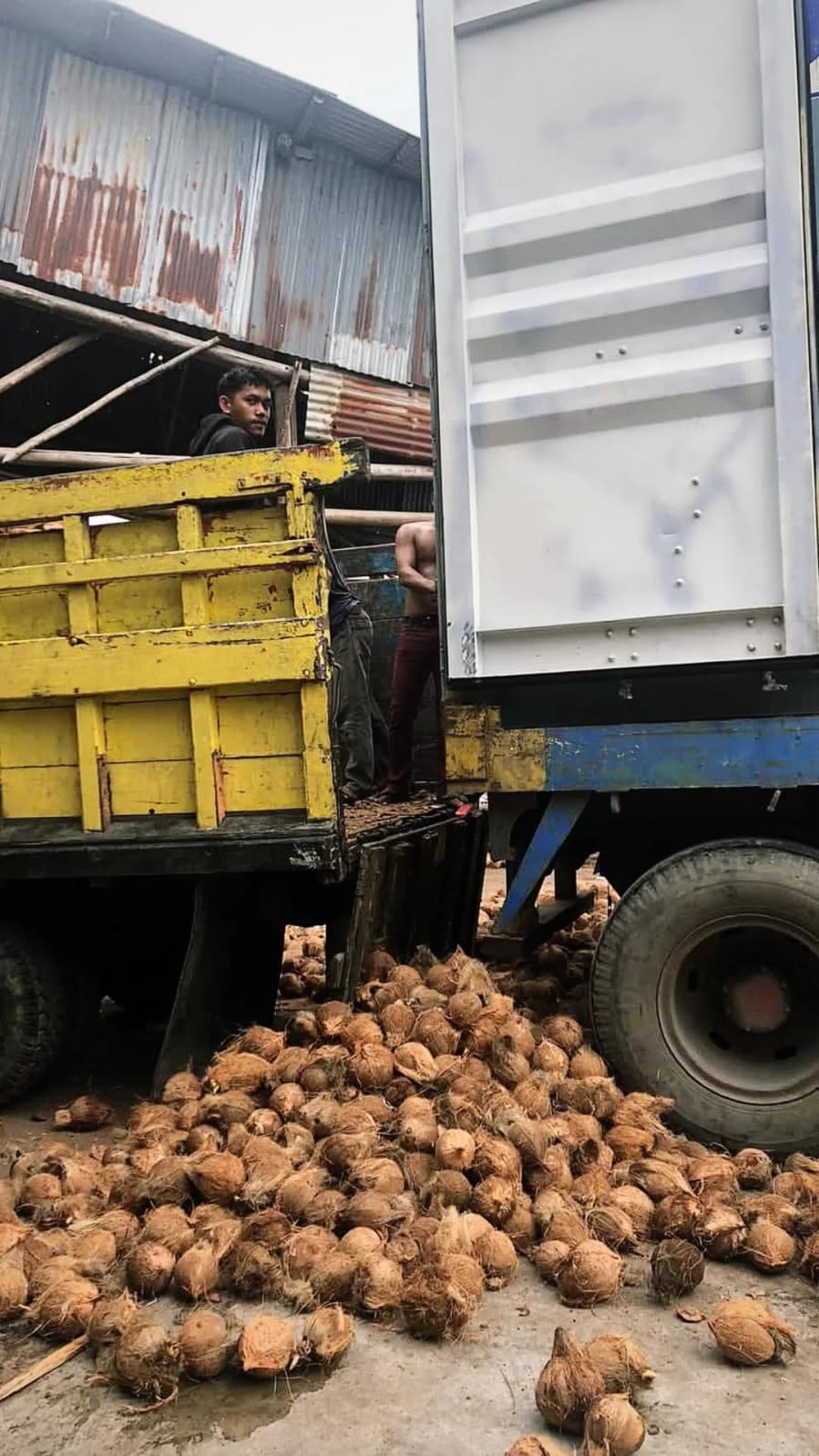 Export cargo loading process